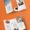 100 Best Indesign Brochure Templates Inside Indesign Templates Free Download Brochure