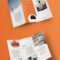 100 Best Indesign Brochure Templates Pertaining To Adobe Indesign Tri Fold Brochure Template