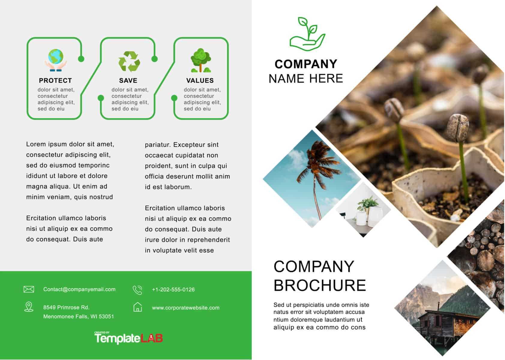 33 Free Brochure Templates (Word + Pdf) ᐅ Template Lab Within Ms Word Brochure Template