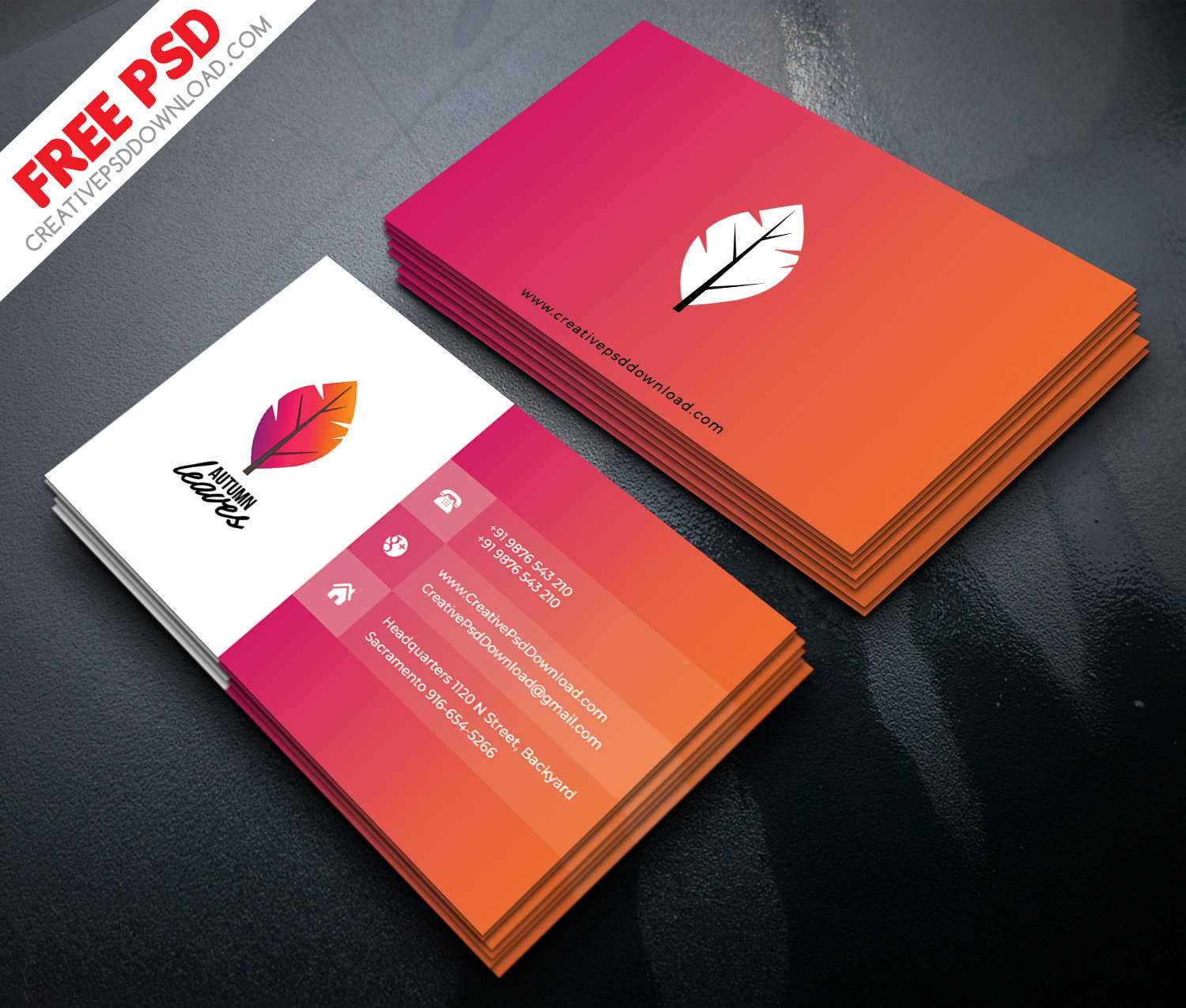 40+ Vibrant Business Card Psd Templates For Branding Intended For Psd Visiting Card Templates