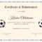 62A11 Soccer Award Certificates | Wiring Library Throughout Soccer Award Certificate Template