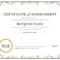 Achievement Award Certificate Template – Milas In Certificate Of Achievement Army Template
