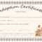 Adoption Certificates – Milas.westernscandinavia Throughout Blank Adoption Certificate Template