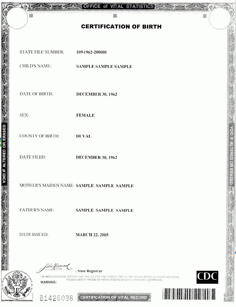 Birth Certificate Samples – Milas.westernscandinavia In Baby Doll Birth Certificate Template