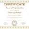 Certificate Sample Text – Milas.westernscandinavia In Promotion Certificate Template