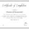 Completion Certificate – Milas.westernscandinavia With Regard To Class Completion Certificate Template