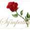 Condolences Sympathy Card Floral Red Roses Bouquet And Lettering Intended For Sorry For Your Loss Card Template