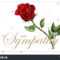 Condolences Sympathy Card Floral Red Roses Stock Vector With Regard To Sympathy Card Template