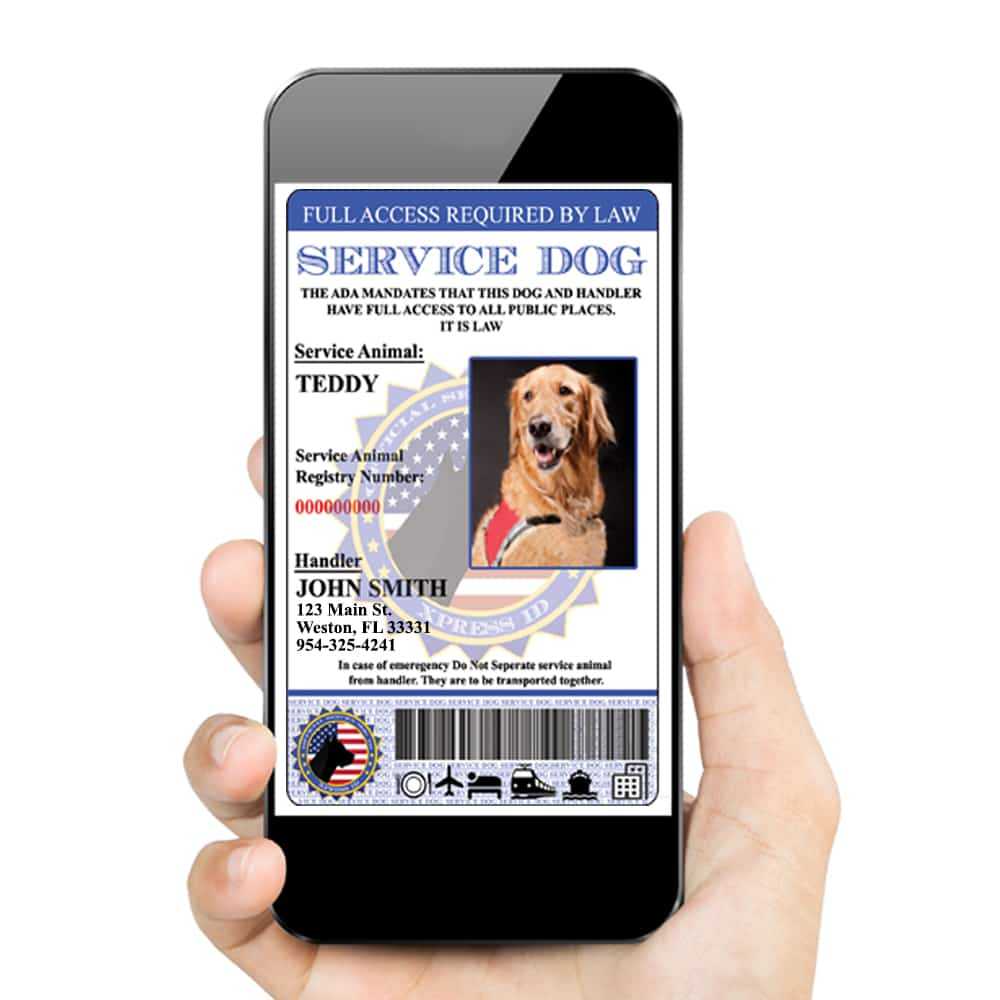 Digital Service Dog Id (Custom) Includes Dog Registration Intended For Service Dog Certificate Template