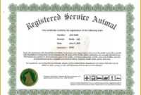 Dog Certificate Template - Milas.westernscandinavia regarding Service Dog Certificate Template