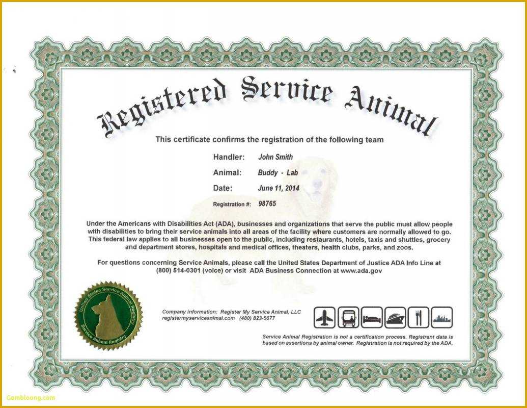 Dog Certificate Template - Milas.westernscandinavia Regarding Service Dog Certificate Template