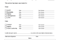 Dog Shot Record Template - Fill Online, Printable, Fillable pertaining to Dog Vaccination Certificate Template