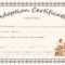 Doll Adoption Certificate Template in Adoption Certificate Template
