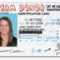 Drivers Licence Id Template – Babysitemn's Blog Pertaining To Georgia Id Card Template