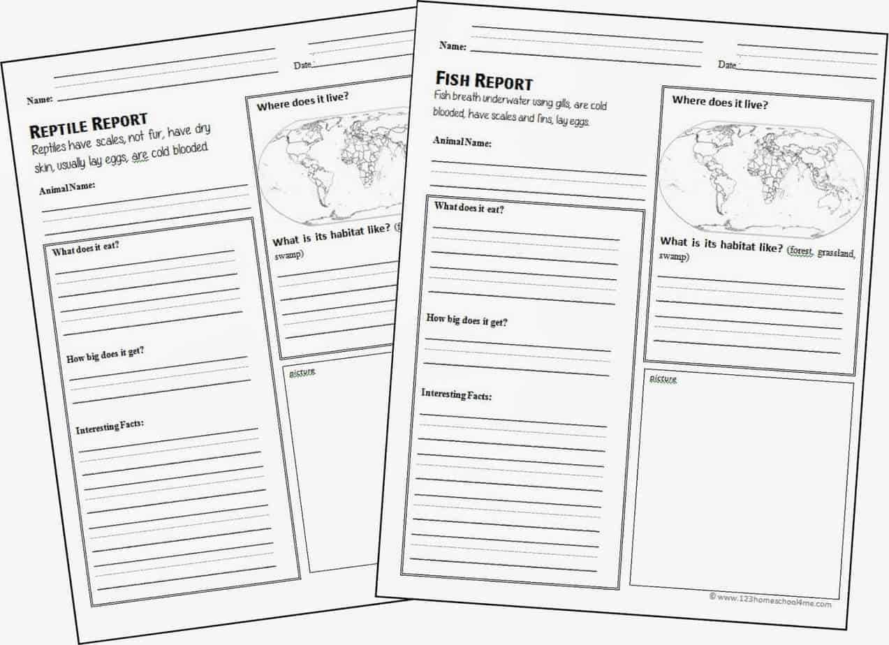 Free Animal Report Form Printable With Homeschool Middle School Report Card Template