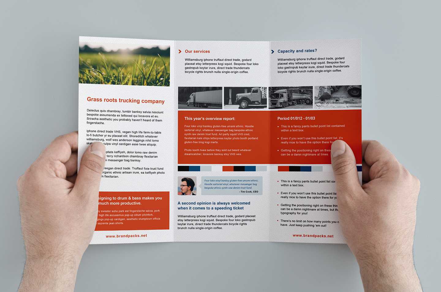 Free Trifold Brochure Template In Psd, Ai & Vector – Brandpacks Intended For Illustrator Brochure Templates Free Download