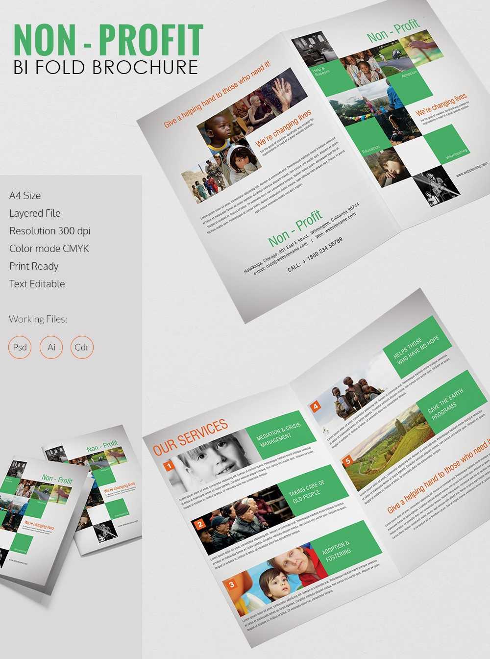 Non Profit Brochure Template Zrom Tk Ngo Templates With Ngo Brochure Templates