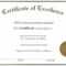 Online Marketing Premium Certificate Sample Within Sample Award Certificates Templates