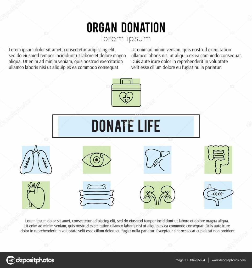 Organ Donation Template — Stock Vector © Julia Khimich In Organ Donor Card Template