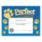 Perfect Attendance Paw Design Gold Foil Stamped Certificates – Pack Of 25 Inside Perfect Attendance Certificate Free Template