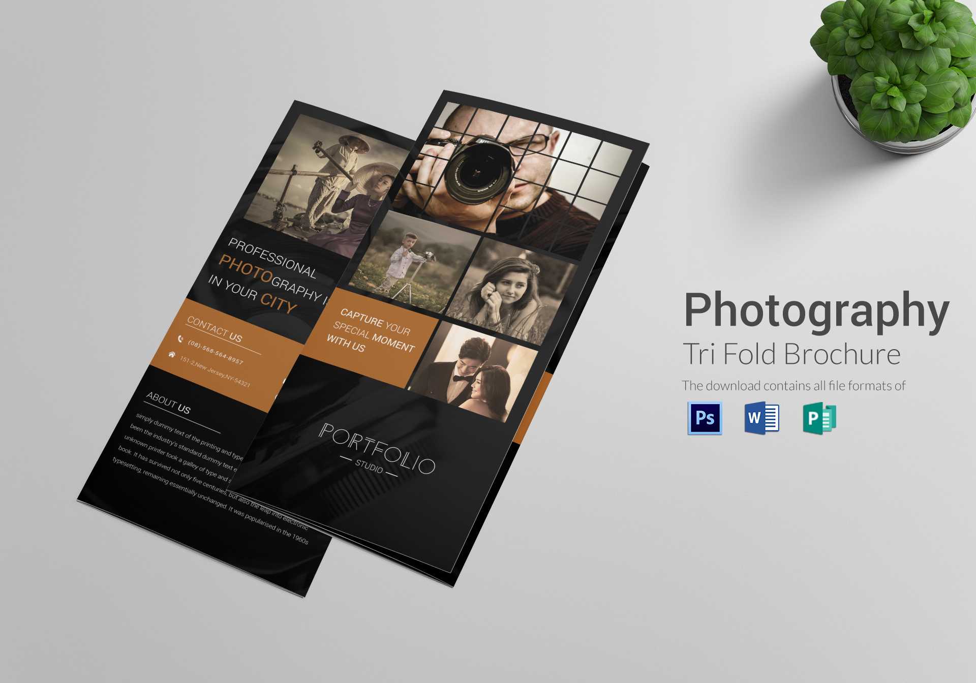 Photography Brochure Tri Fold Template Intended For Brochure 3 Fold Template Psd