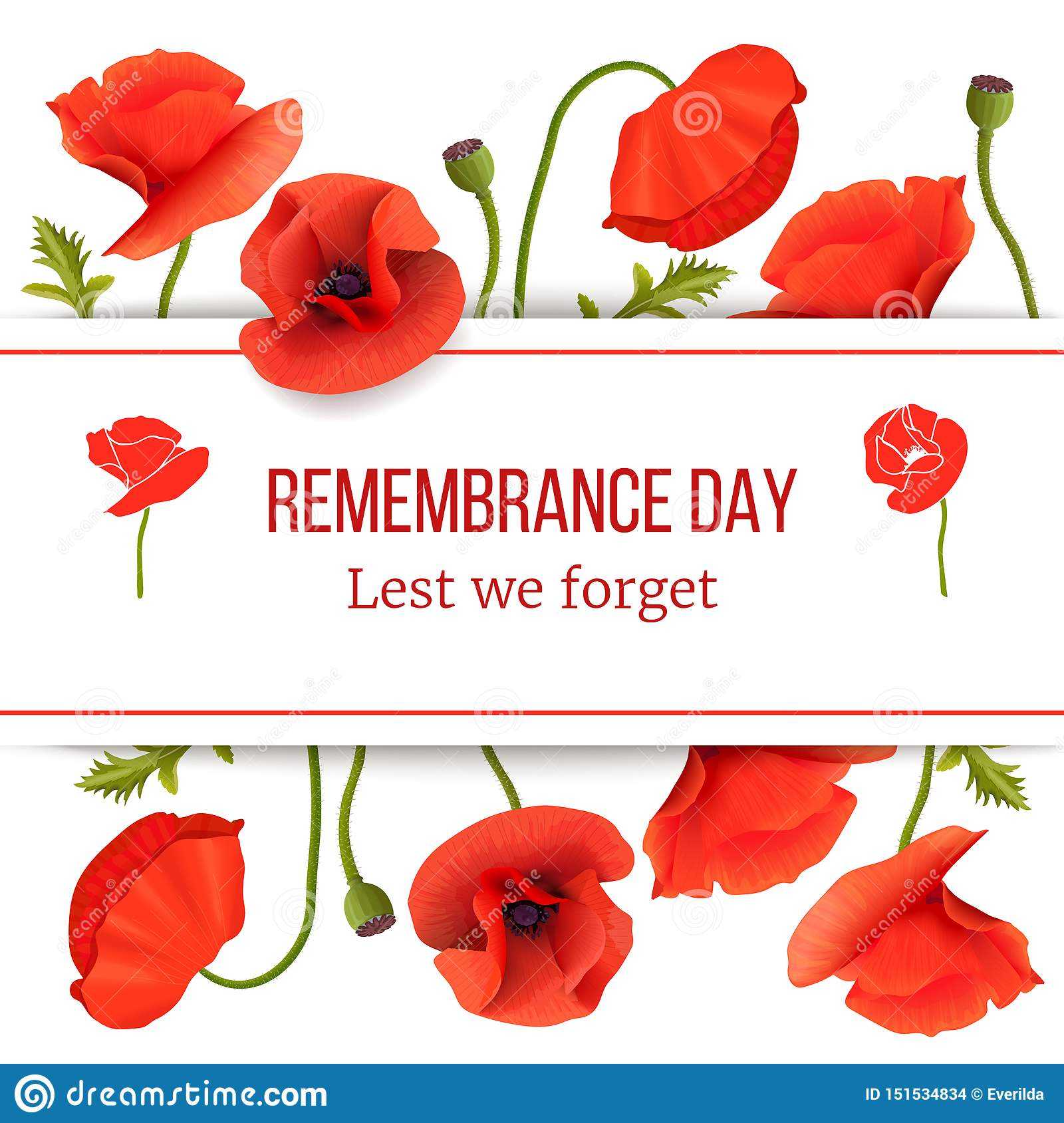 Poppy Red Flowers Card Template With Copy Space On Stripe With Regard To Remembrance Cards Template Free