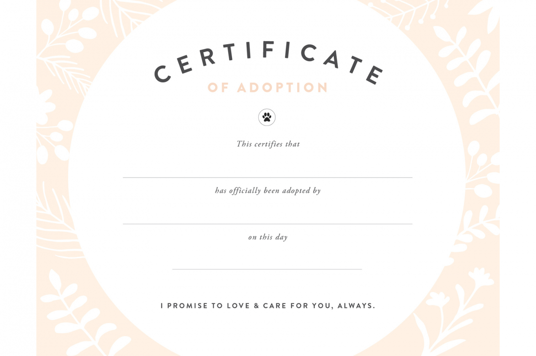 Pretty Fluffy For Blank Adoption Certificate Template