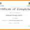 Printable Doc Pdf Editable Training Certificate Template Pertaining To Training Certificate Template Word Format