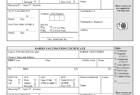 Printable Rabies Certificate - Fill Online, Printable with regard to Rabies Vaccine Certificate Template