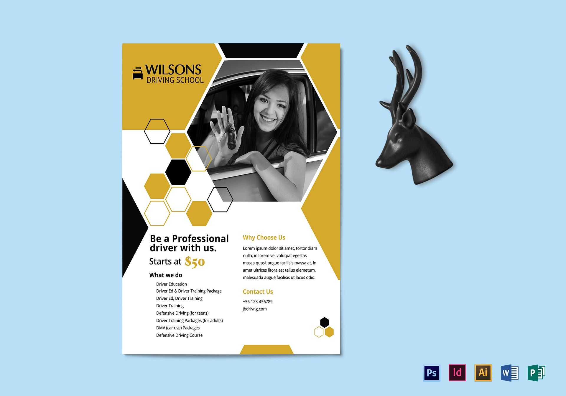 Professional Driving School Flyer Template Throughout School Brochure Design Templates