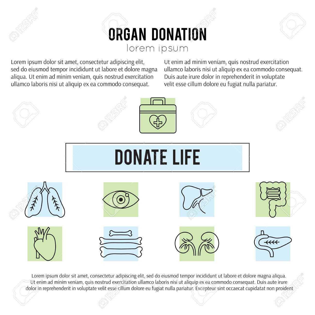 Square Banner Template. Organ Donation Thin Line Icons. Donate.. Pertaining To Organ Donor Card Template