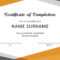 Training Certificate Templates – Milas.westernscandinavia Within Template For Training Certificate