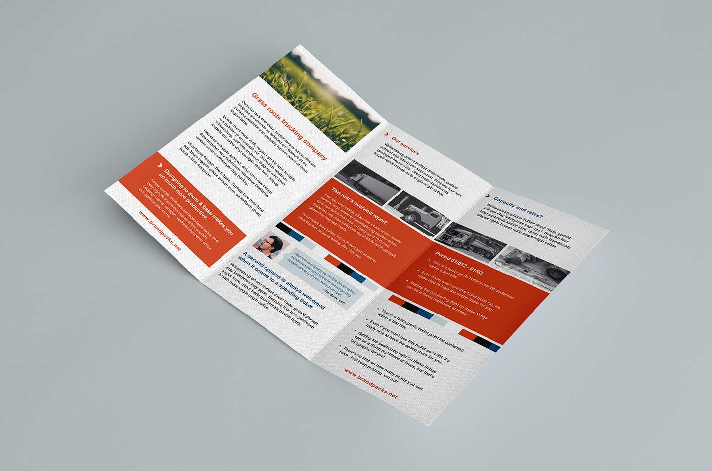Tri Fold Brochure Template Illustrator – Milas Throughout Brochure Templates Adobe Illustrator