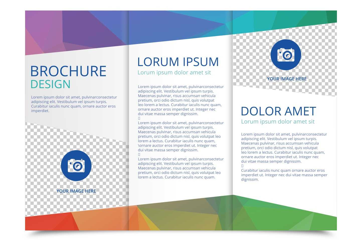 Tri Fold Brochure Vector Template - Download Free Vectors Inside 3 Fold Brochure Template Free Download