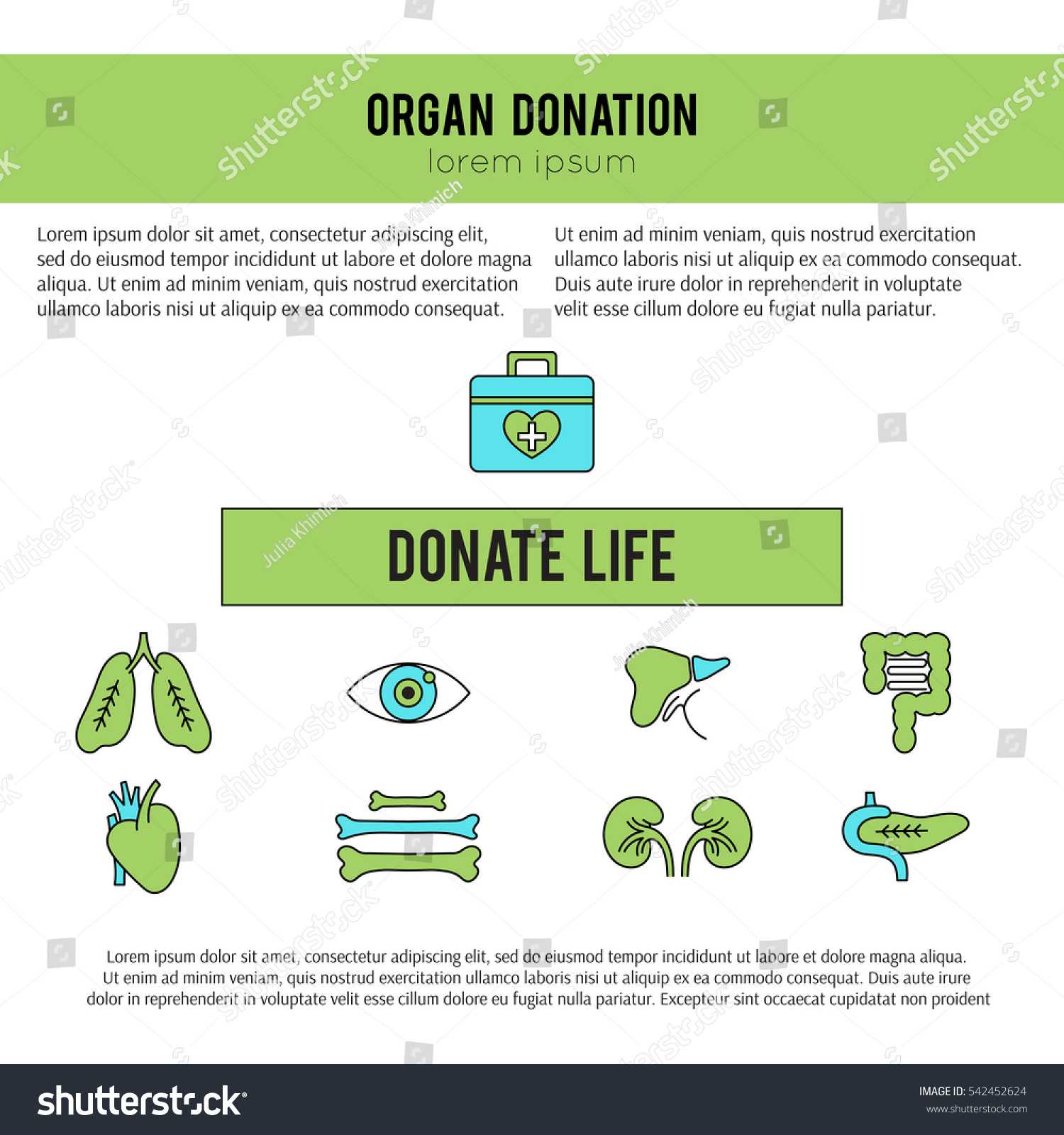 Vector Square Banner Template Organ Donation Stock Vector For Organ Donor Card Template